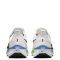 NIKE AIR ZOOM PEGASUS FLYEASE DJ7381-006