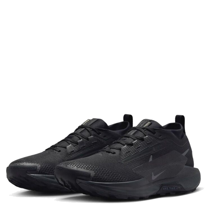 Nike Pegasus Trail 5 Gore-Tex FQ0908-002