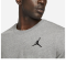 Футболка Nike Air Jordan Jumpman Embroidered DC7485-091