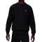 Кофта Nike Air Jordan Brooklyn Fleece FV7293-010