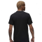 Футболка Nike Air Jordan Core Blank Crew AQ2366-010