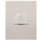 Футболка Nike Air Jordan Flight Essentials 85 FZ1912-133