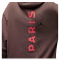 ХУДІ AIR JORDAN PARIS SAINT-GERMAIN PULLOVER HOODIE BROWN DM3096-291