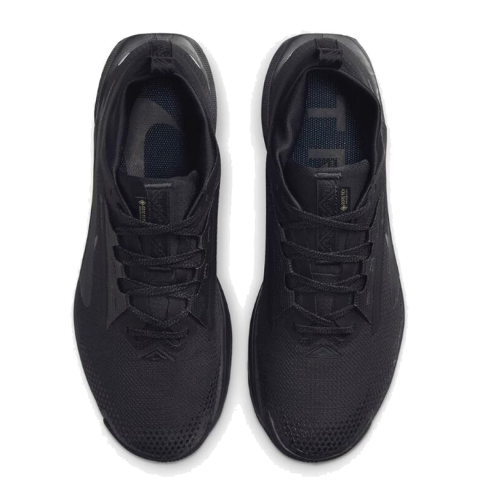 Nike Pegasus Trail 5 Gore-Tex FQ0908-002