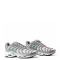 Nike Air Max TN Grey