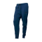 Штани NIKE NSW TECH FLEECE JOGGER BLUE