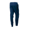 Штани NIKE NSW TECH FLEECE JOGGER BLUE