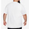 NIKE SB LOGO SKATE WHITE