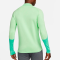 Кофта NIKE BRAZIL 22/23 DRI-FIT STRIKE DRILL TOP GREEN