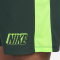 Шорти NIKE ACADEMY DRI-FIT SOCCER SHORTS GREEN