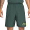 Шорти NIKE ACADEMY DRI-FIT SOCCER SHORTS GREEN